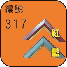 編號317