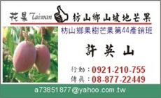 花008